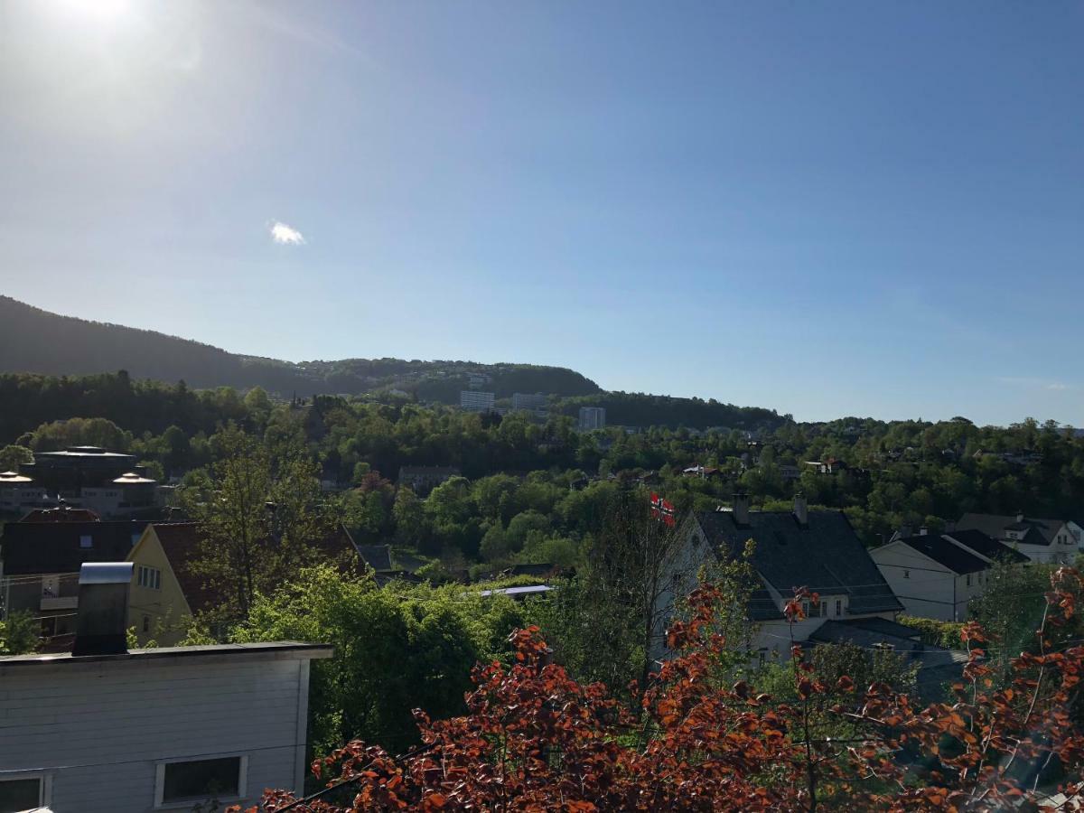 Gronnestolen Apartment Bergen Buitenkant foto